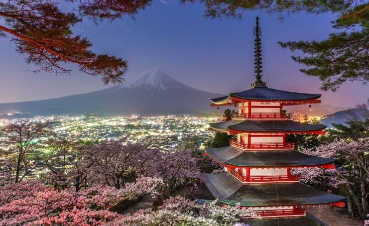 Japan's new tourism policies set to prolong recovery