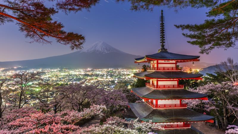 Japan's new tourism policies set to prolong recovery